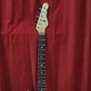 G&L ( USA ) ASAT Special Thinline 2011