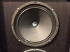 Traynor YBA1 BassMaster YBA-1 + Cab YT15 ( 2x15")