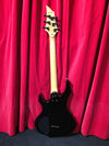 ESP LTD F-10 with Rosewood Fretboard Black